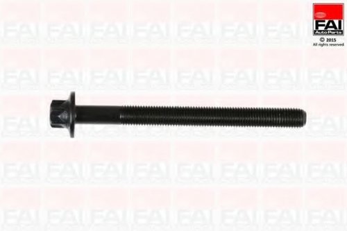 Set surub, chiulasa DACIA LOGAN EXPRESS (FS) (2009 - 2016) FAI AutoParts B896 piesa NOUA