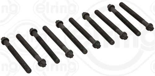 Set Surub, Chiulasa Elring Renault 111.460
