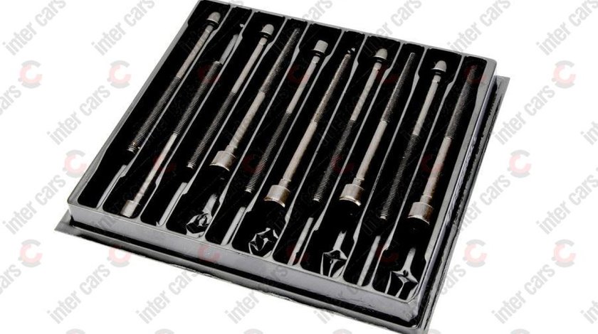 Set surub chiulasa LANCIA DEDRA SW 835 Producator PAYEN HBS095