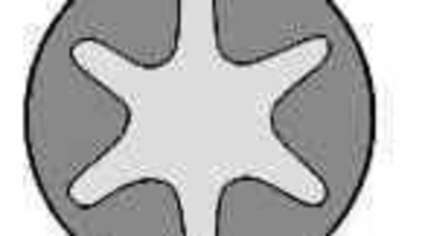 Set surub chiulasa OPEL ASTRA G hatchback F48 F08 REINZ 14-32038-01