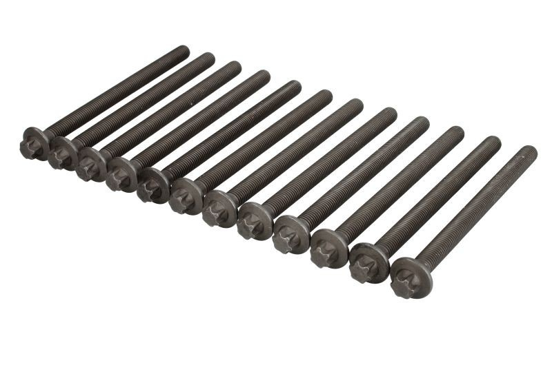 Set surub, chiulasa OPEL CORSA D (2006 - 2016) ELRING 751.970 piesa NOUA