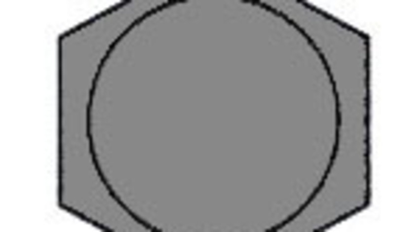 Set surub, chiulasa (T5007300 GLASER) FORD