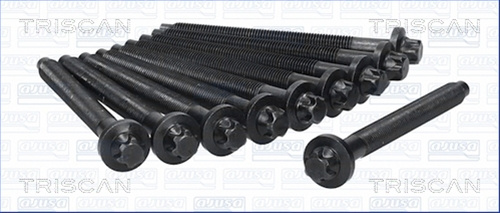 Set Surub, Chiulasa Triscan Citroën 98-5523