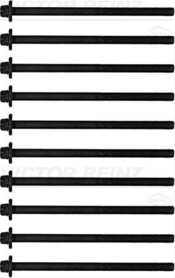 Set Surub, Chiulasa Victor Reinz Bmw 14-10398-01