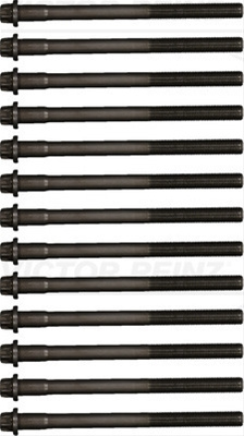 Set Surub, Chiulasa Victor Reinz Man 14-32300-01