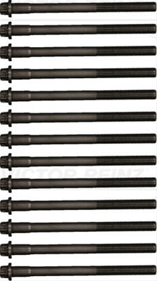 Set Surub, Chiulasa Victor Reinz Man 14-32300-01