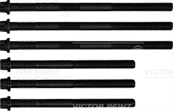 Set Surub, Chiulasa Victor Reinz Man 14-32918-01