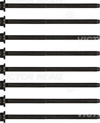 Set Surub, Chiulasa Victor Reinz Skoda 14-32123-02