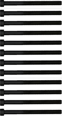 Set Surub, Chiulasa Victor Reinz Vw 14-32190-01