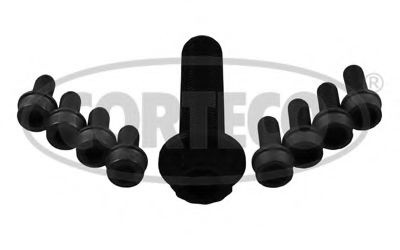 Set surub, disc curea-arbore cotit AUDI A6 Avant (4F5, C6) (2005 - 2011) CORTECO 80004916 piesa NOUA