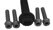 Set surub, disc curea-arbore cotit VW GOLF IV (1J1...