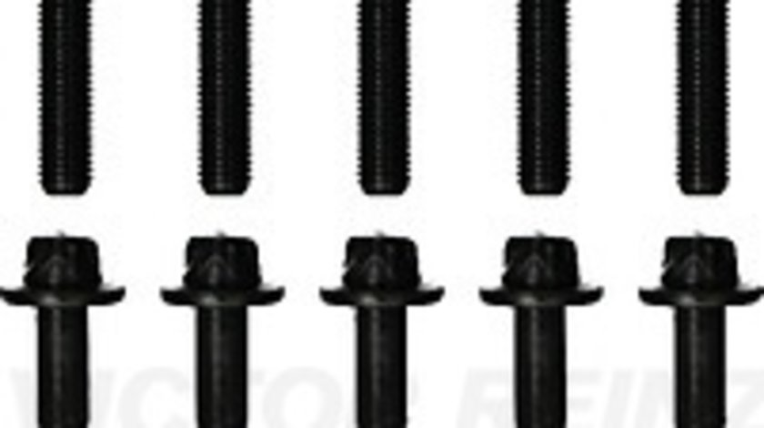 Set suruburi chiuloasa reinz pt dacia, nissan, renault mot 1.5 diesel