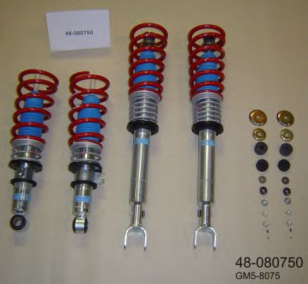Set suspensie, arcuri elicoidale / amortizoare (48080750 BILSTEIN)