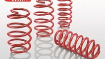 Set suspensie, arcuri elicoidale BMW Seria 5 (E60)...