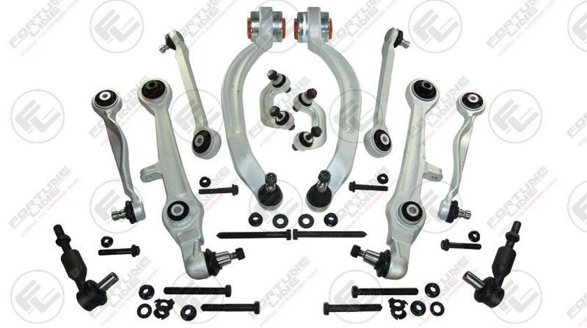 Set suspensie roata VW PASSAT Variant (3B5) Producator FORTUNE LINE FZ5552