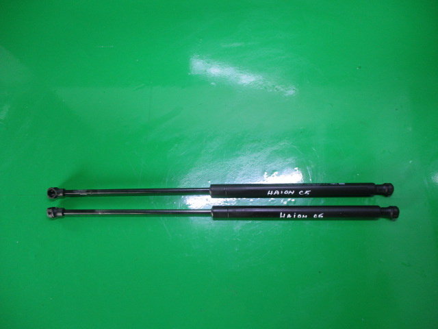 SET TELESCOAPE / AMORTIZOARE HAION CITROEN C5 1 FAB. 2000 - 2004 ⭐⭐⭐⭐⭐