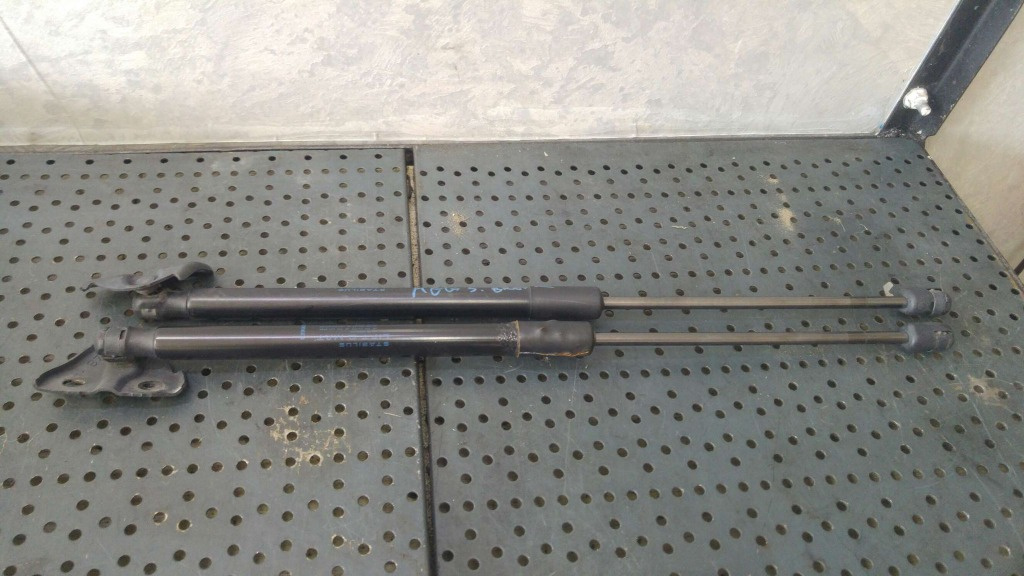 Set telescoape amortizoare haion renault megane 3 combi 844300009r