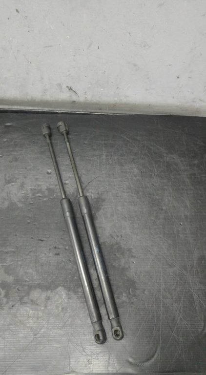 Set telescoape amortizoare haion renault megane 3 904510001r