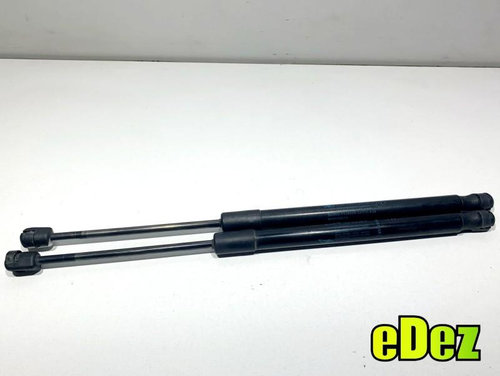 Set telescoape haion Renault Megane 3 facelift (2012-2016) 904510001R