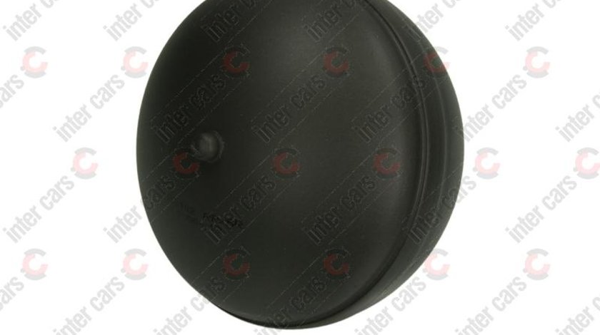 sfera amortizor suspensie CITROËN C5 II RC Producator MONROE SP8102