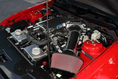 Shelby 1000 de vanzare