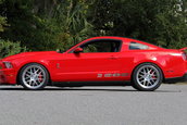 Shelby 1000 de vanzare