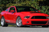 Shelby 1000 de vanzare