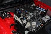 Shelby 1000 de vanzare