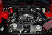 Shelby 1000 de vanzare