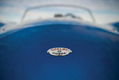 Shelby CObra