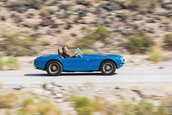 Shelby CObra