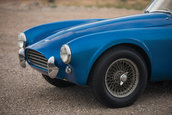 Shelby CObra