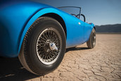 Shelby CObra