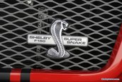 Shelby F-150 Super Snake