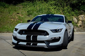 Shelby GT350 - Poze Reale