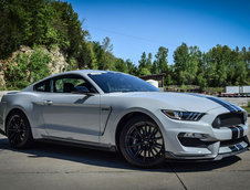 Shelby GT350 - Poze Reale