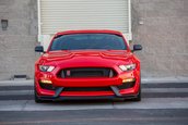 Shelby GT350 si GT500 Signature Edition