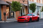 Shelby GT350 si GT500 Signature Edition