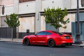 Shelby GT350 si GT500 Signature Edition