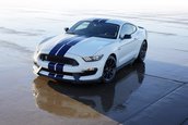 Shelby GT350