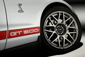 Shelby GT500 2011
