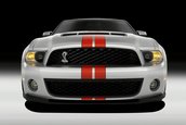Shelby GT500 2011