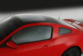 Shelby GT500 2011