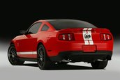 Shelby GT500 2011