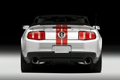 Shelby GT500 2011
