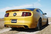 Shelby GT500 by Geiger