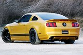 Shelby GT500 by Geiger