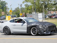 Shelby GT500 - Poze Spion