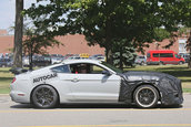 Shelby GT500 - Poze Spion