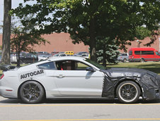 Shelby GT500 - Poze Spion